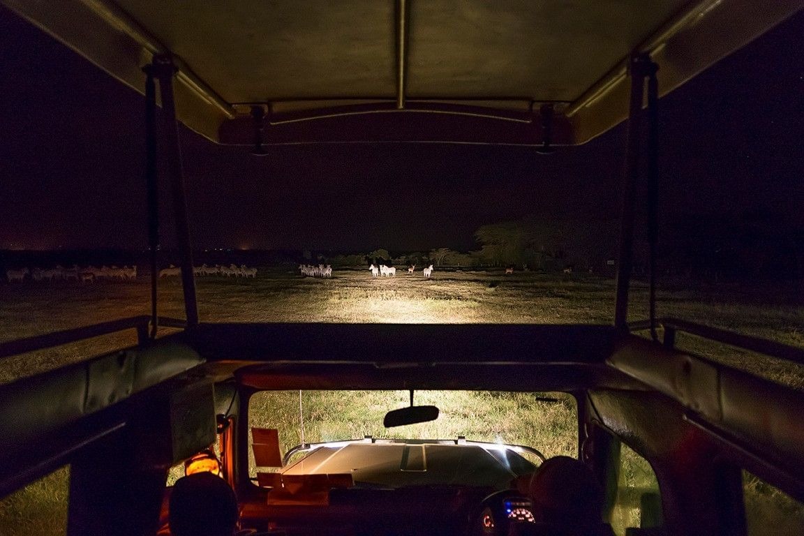 Sweetwaters Serena Camp - Photo Gallery