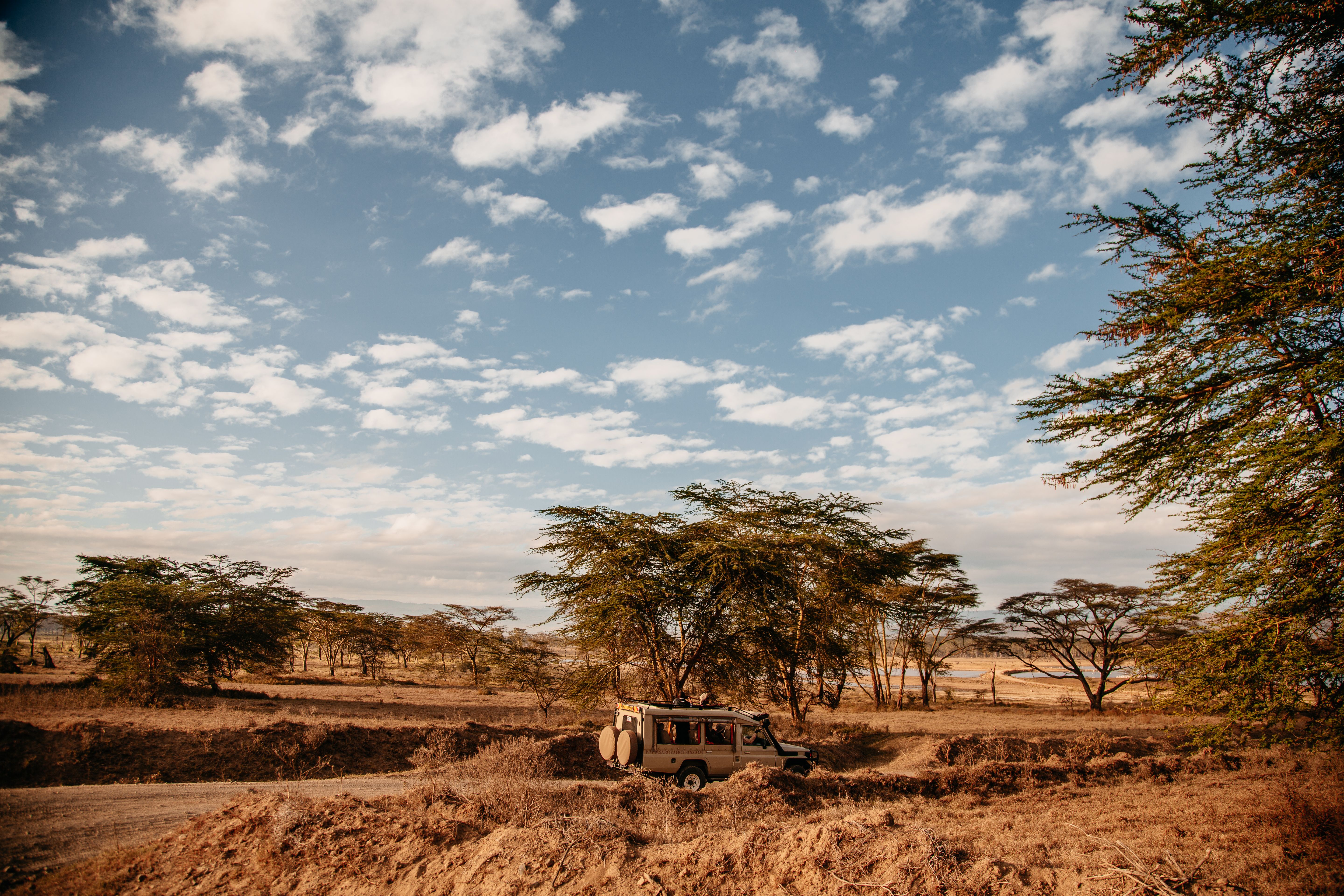 Sarova Lion Hill Game Lodge - Photo Gallery