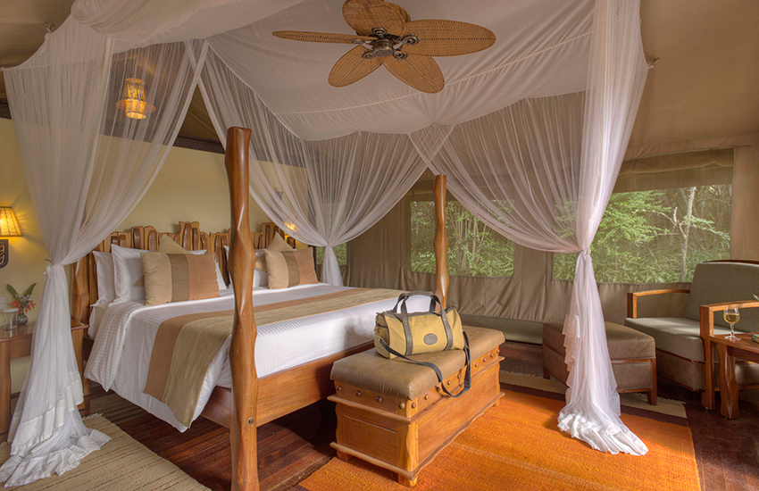 Sarova Mara Game Camp - Photo Gallery