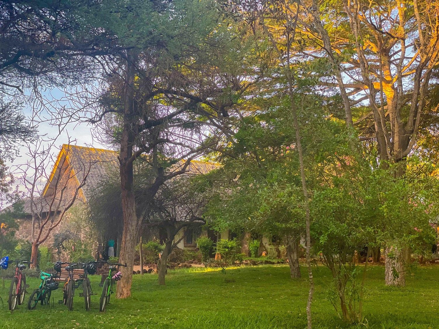 Kilaguni Serena Safari Lodge - Photo Gallery