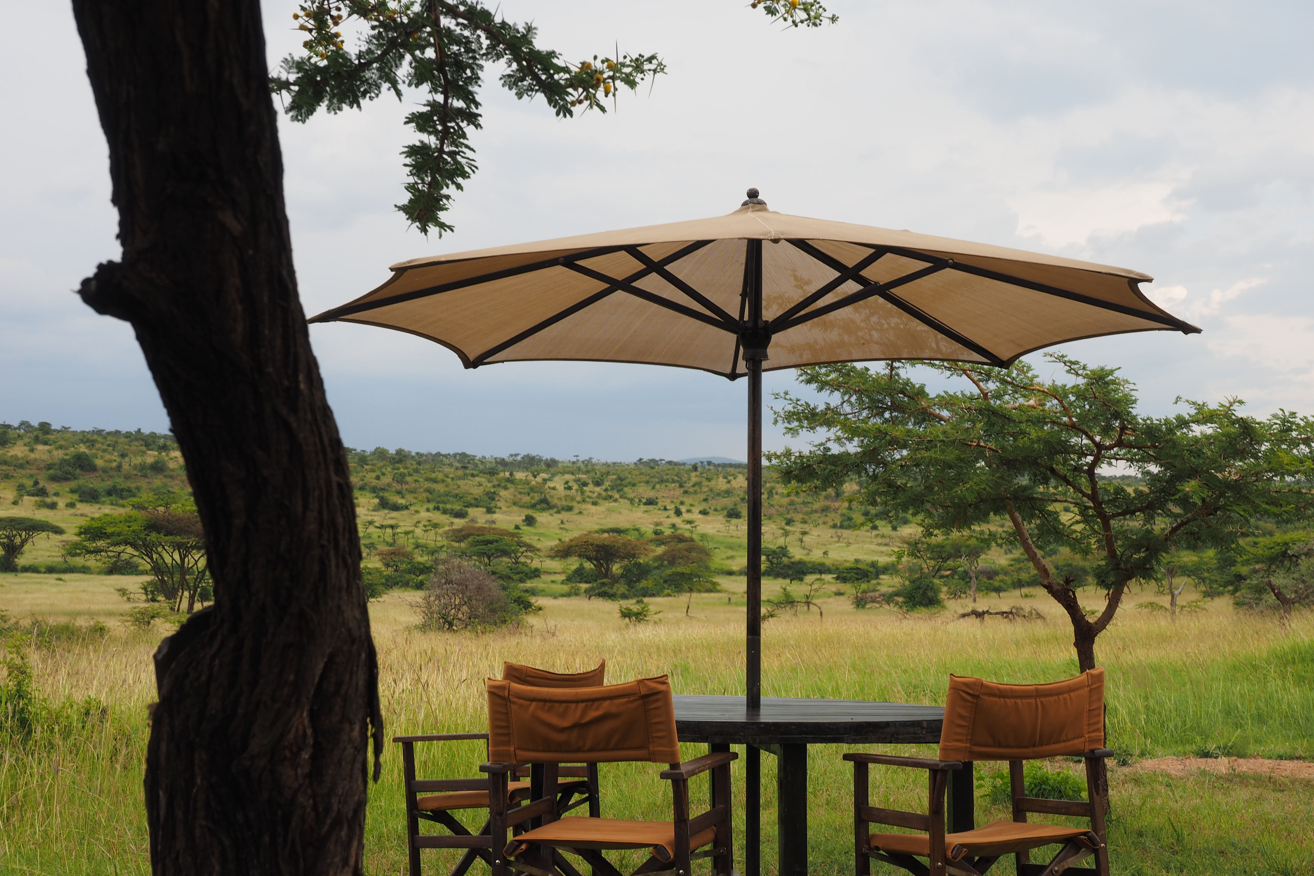 Saruni Basecamp Kalama Conservancy - Photo Gallery