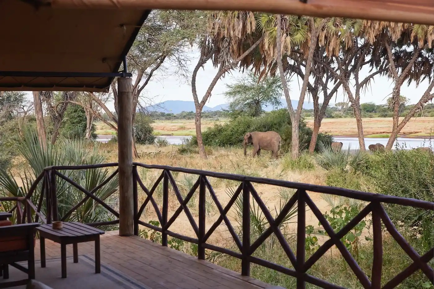 Elephant Bedroom Camp - Photo Gallery