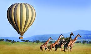 Amboseli Balloon Flight