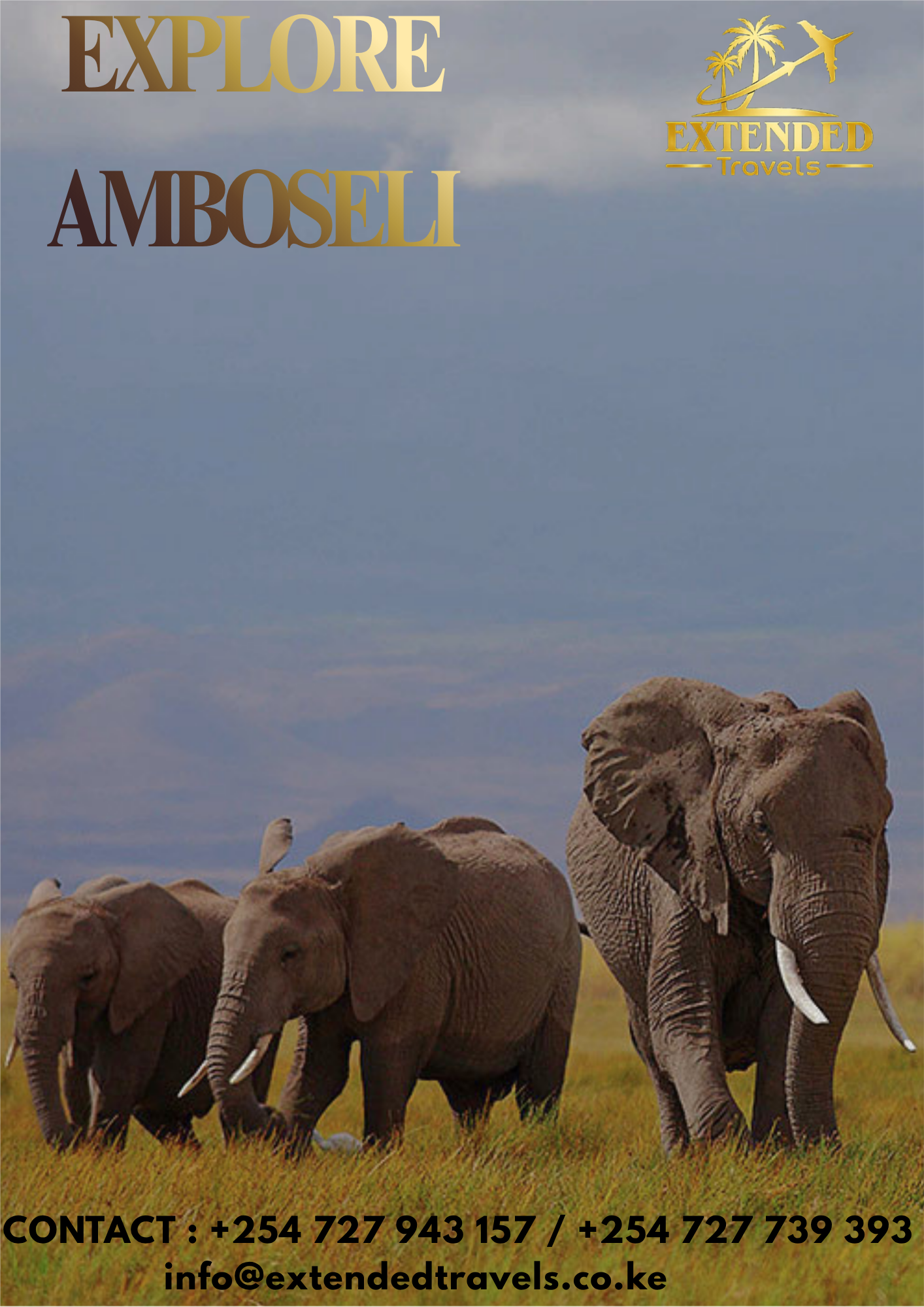 Amboseli Giants & Mountain Views