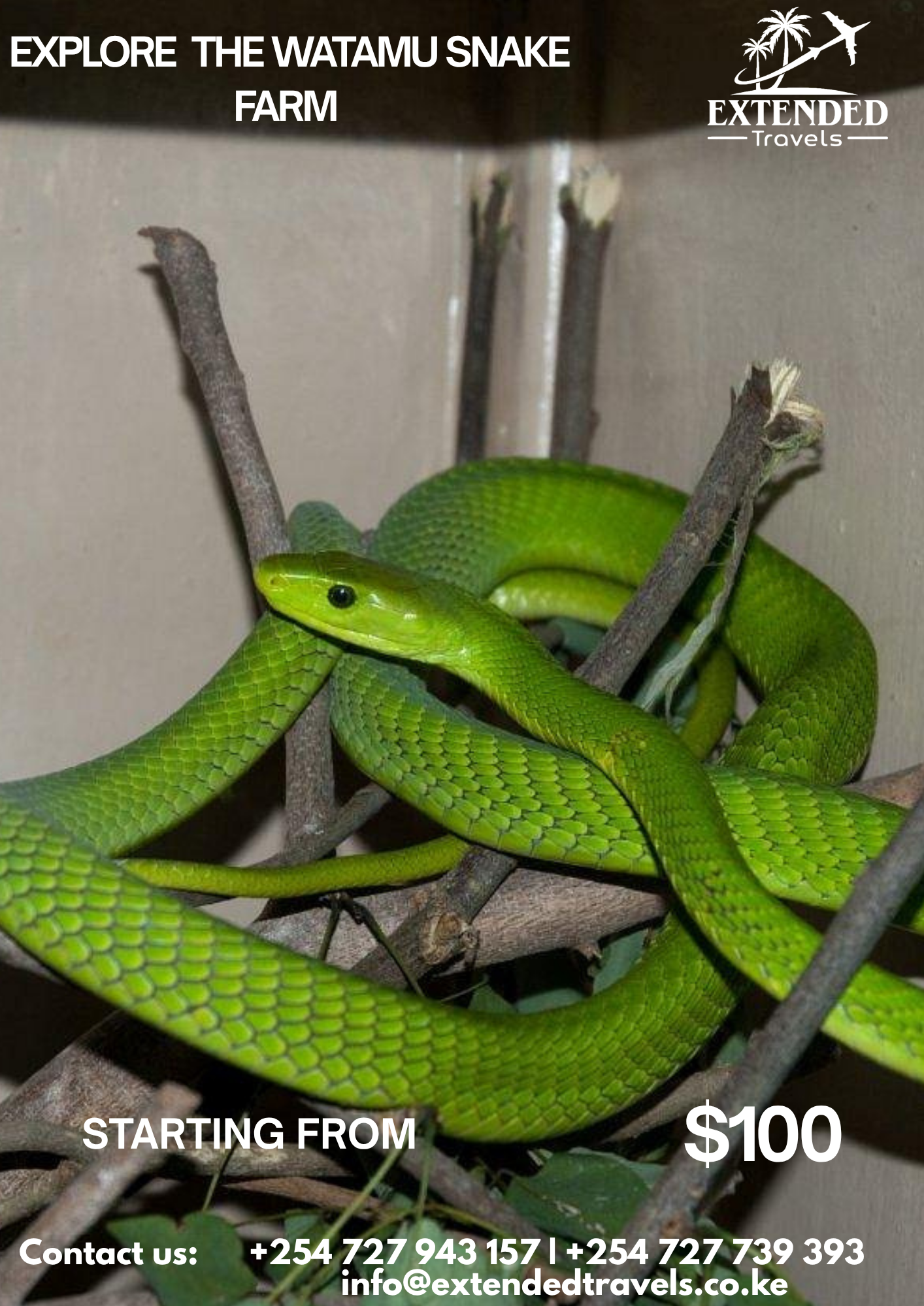 Explore Watamu Snake Farm