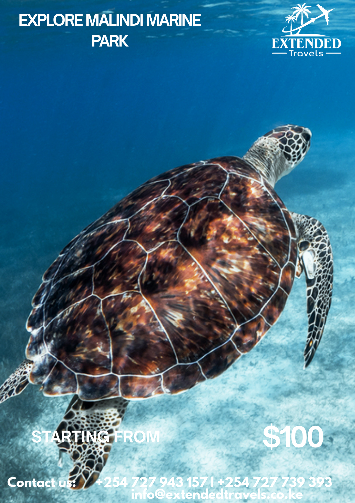 Experience Malindi Marine National Park