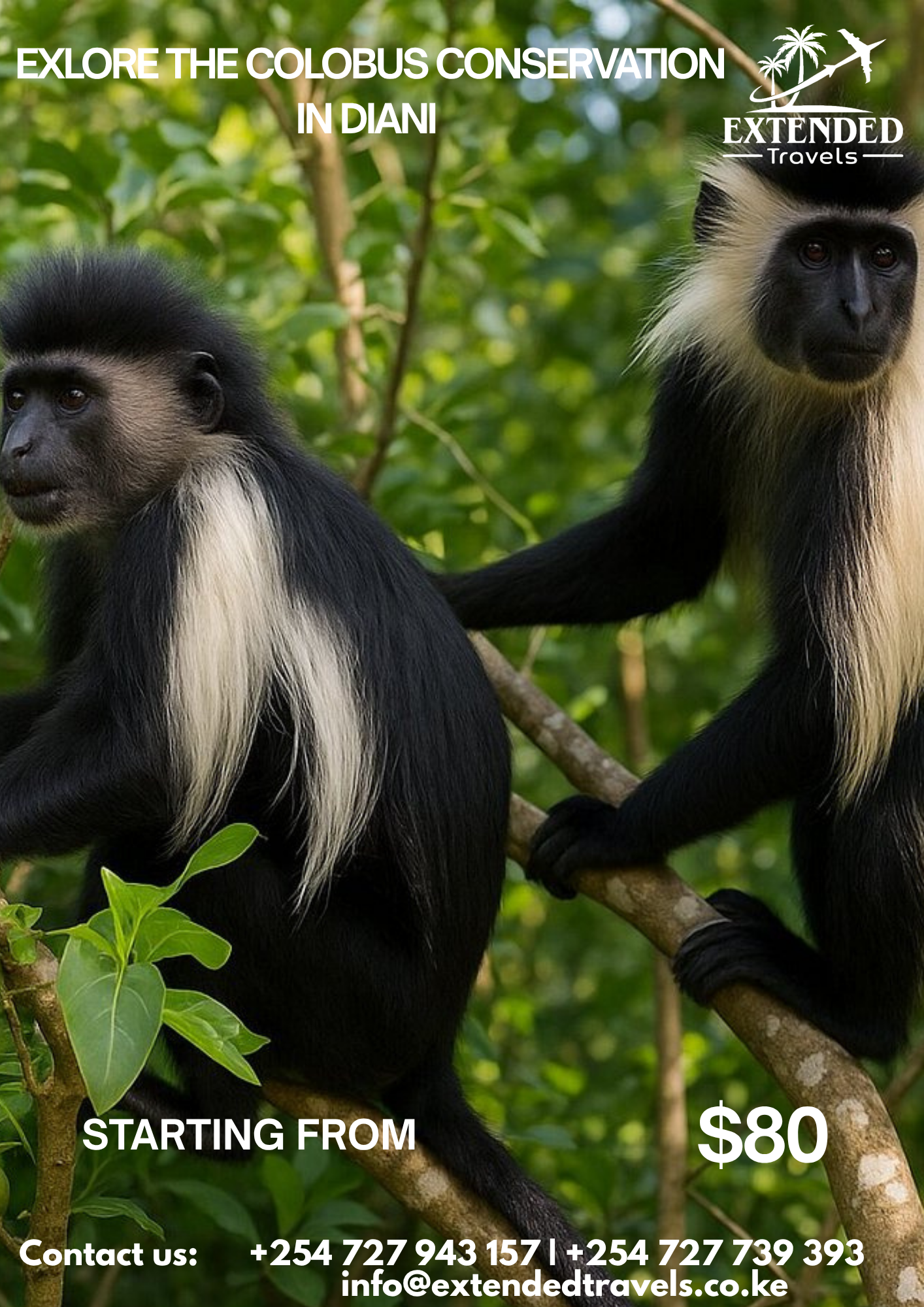 Explore Colobus Conservation 