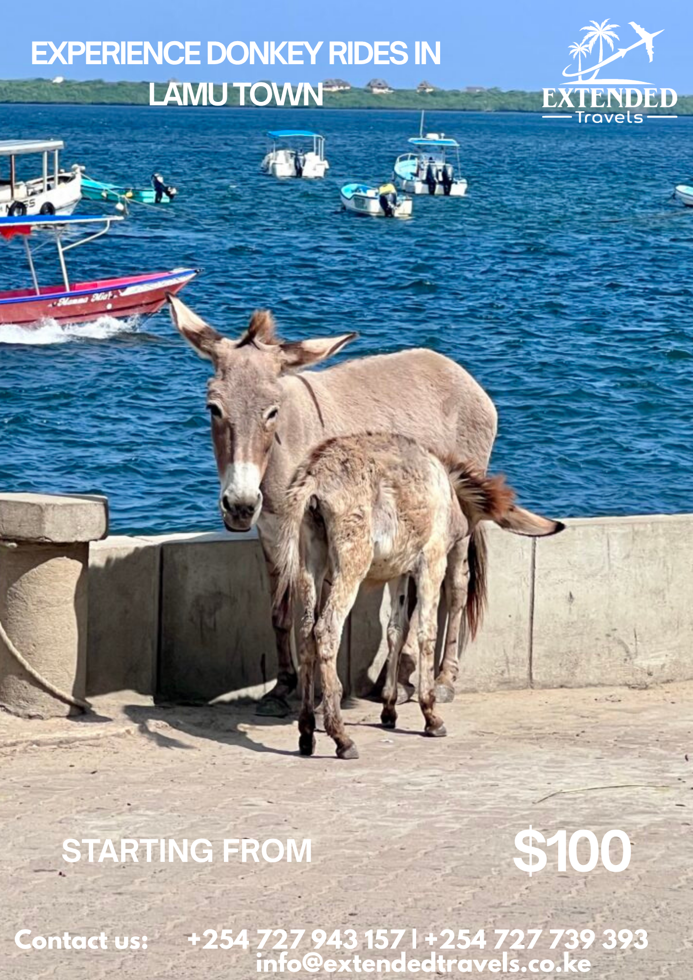 Experience Donkey Rides in Lamu 