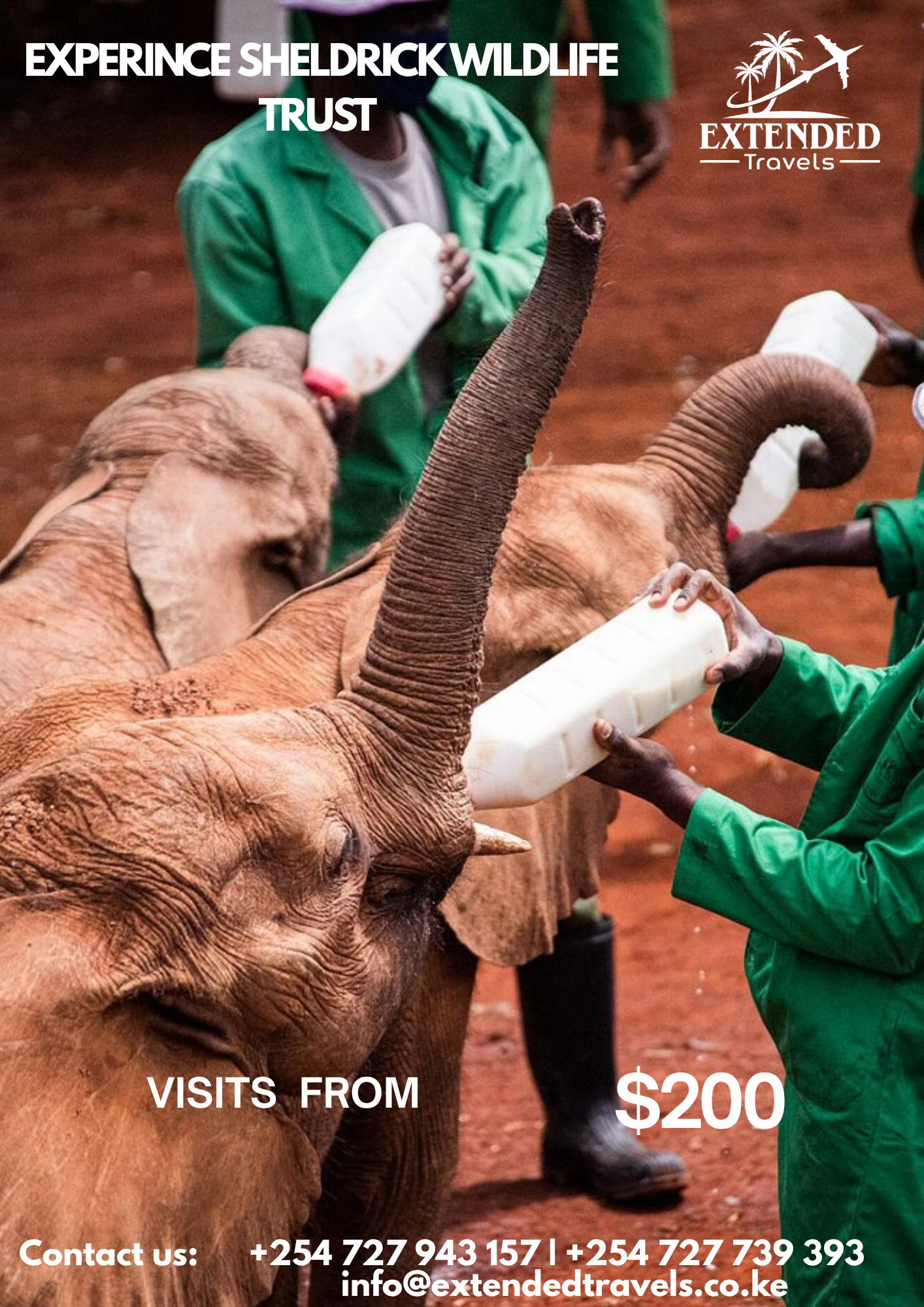 Explore Sheldrick Wildlife Trust