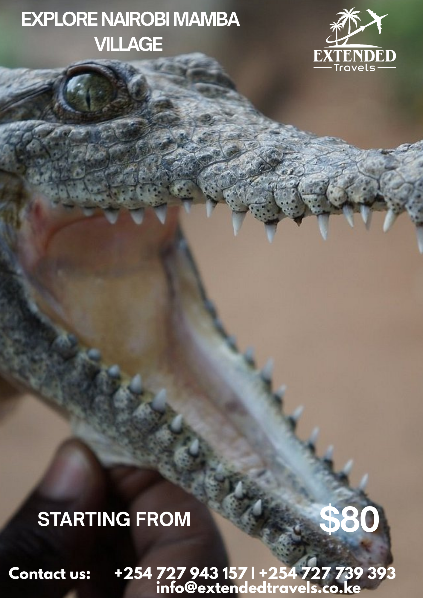 Explore Nairobi Mamba Village