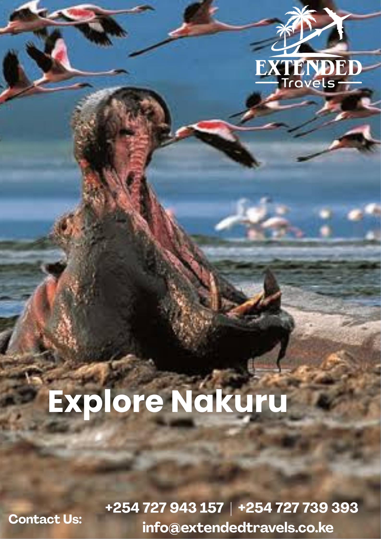 Explore Nakuru National Park 