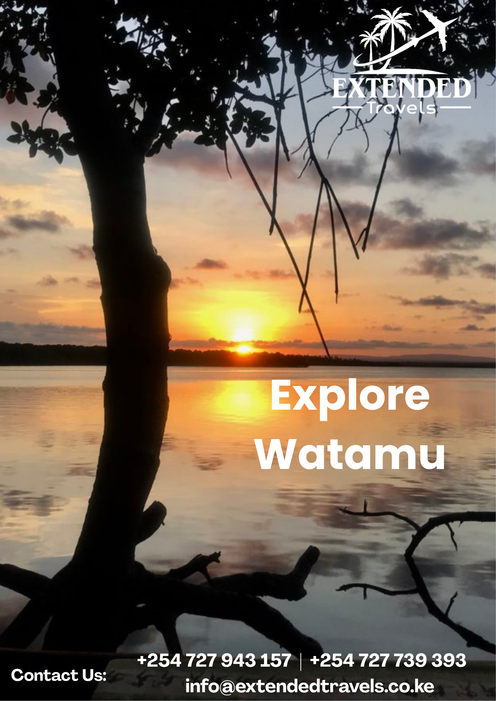 Experience the Untamed Beauty of Watamu