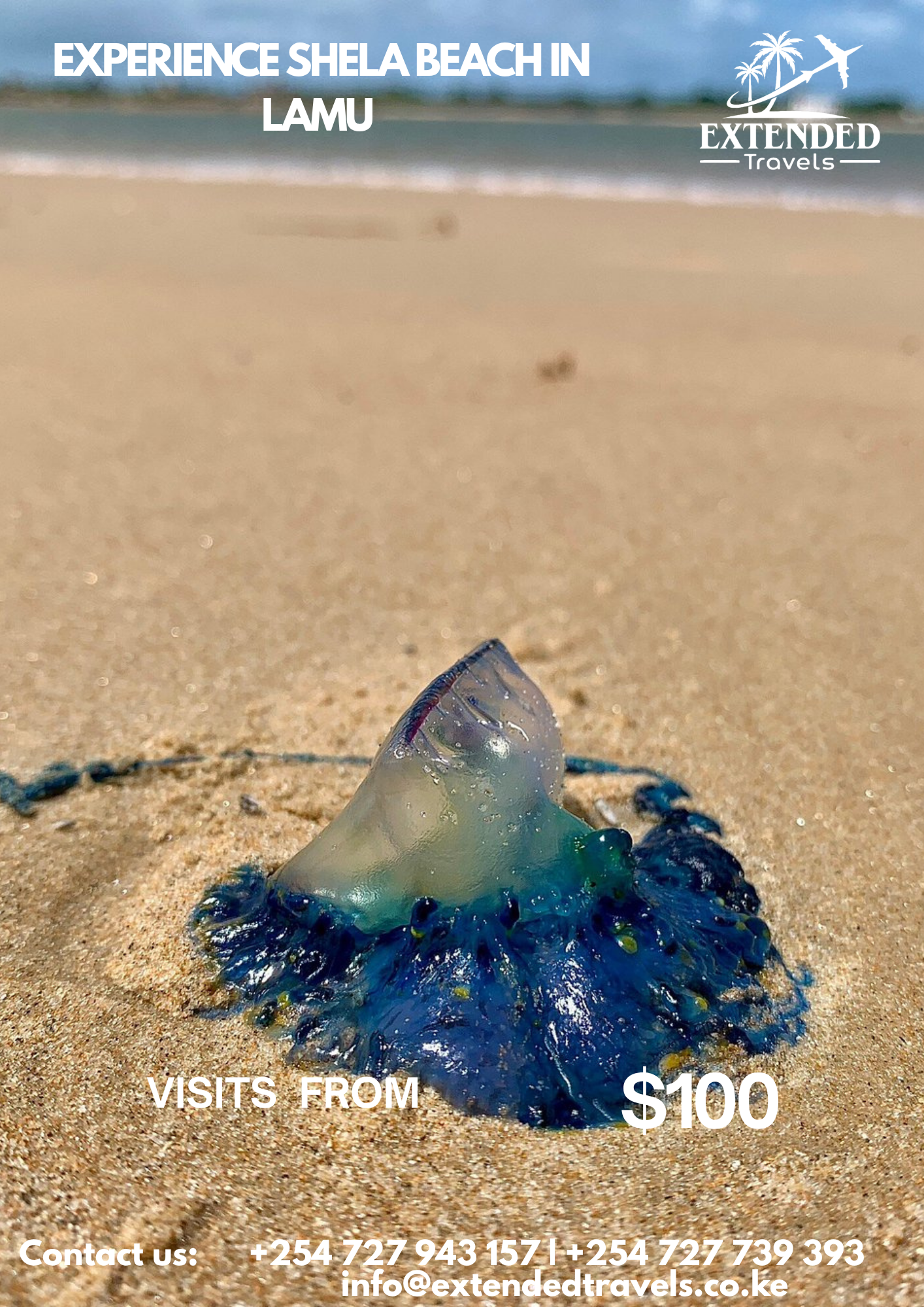 Explore Shela Beach